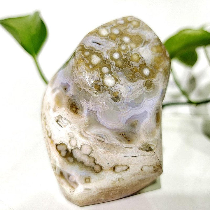 Ocean Jasper Crystal Freeform