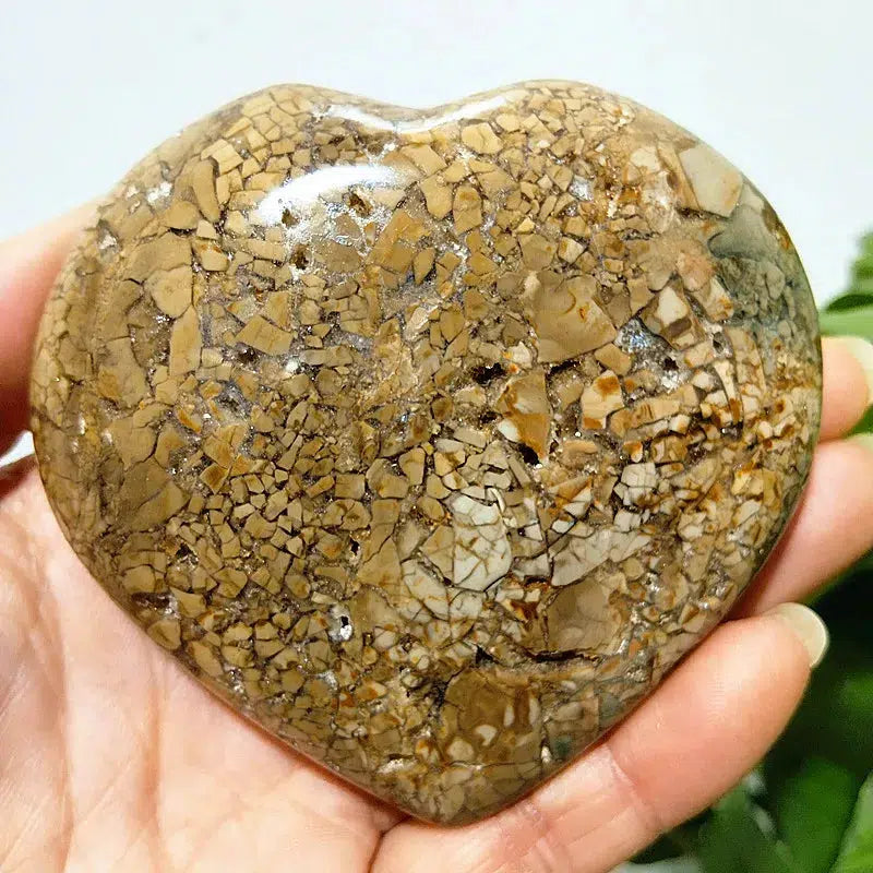 Ocean Jasper Heart