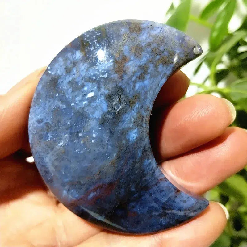 Ocean Jasper Moon