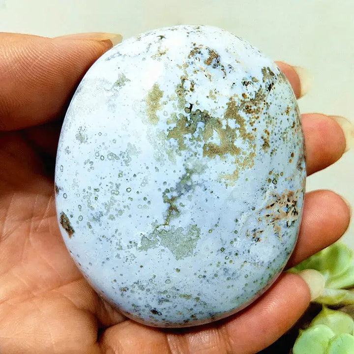 Ocean Jasper Palm Stone