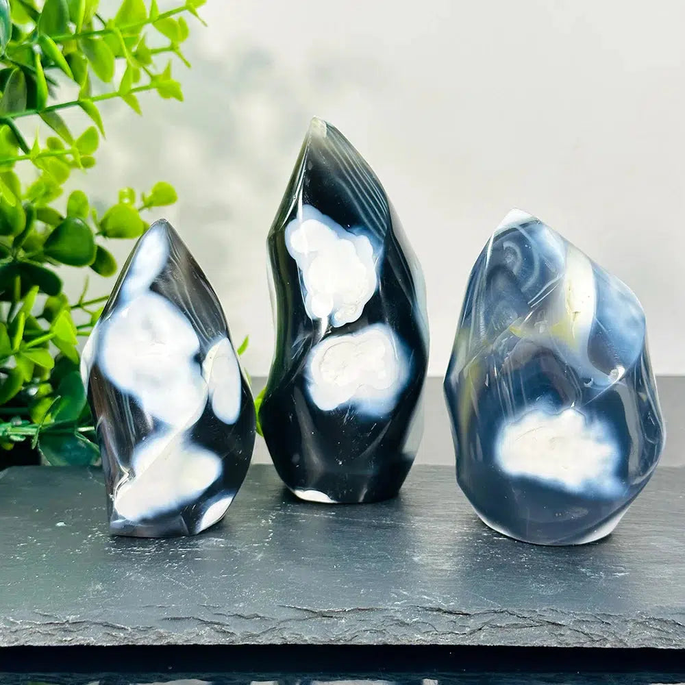 Orca Agate Black And White Flame