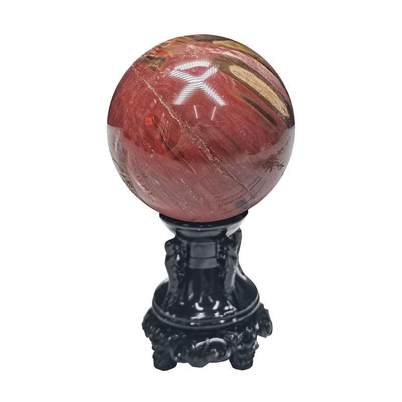 Petrified Wood Sphere Fossil