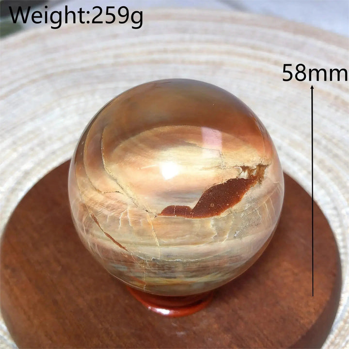 Petrified Wood Sphere