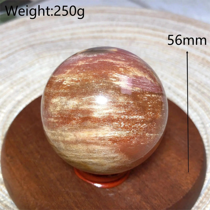 Petrified Wood Sphere