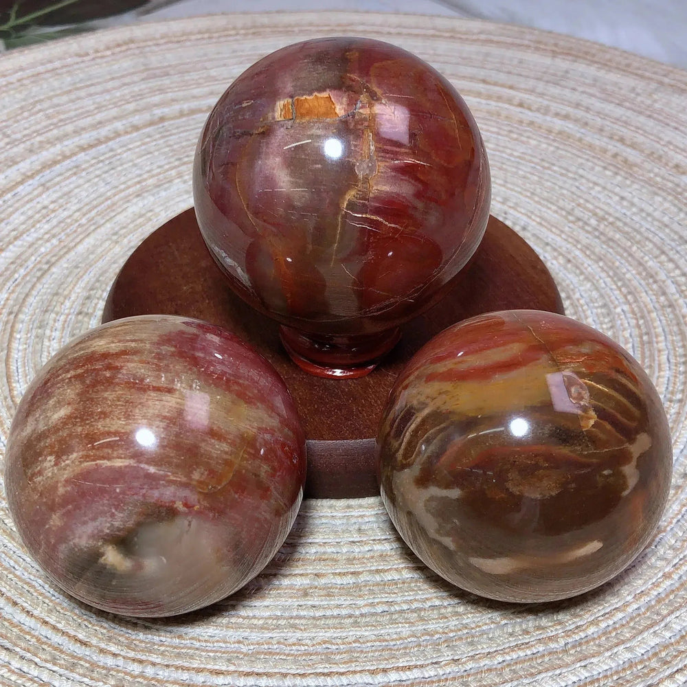 Petrified Wood Sphere