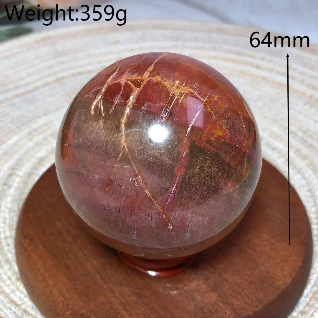 Petrified Wood Sphere