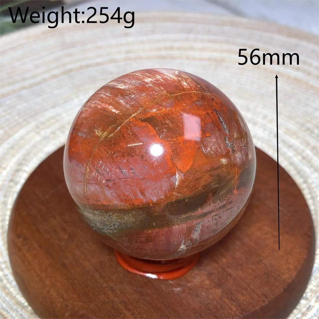 Petrified Wood Sphere