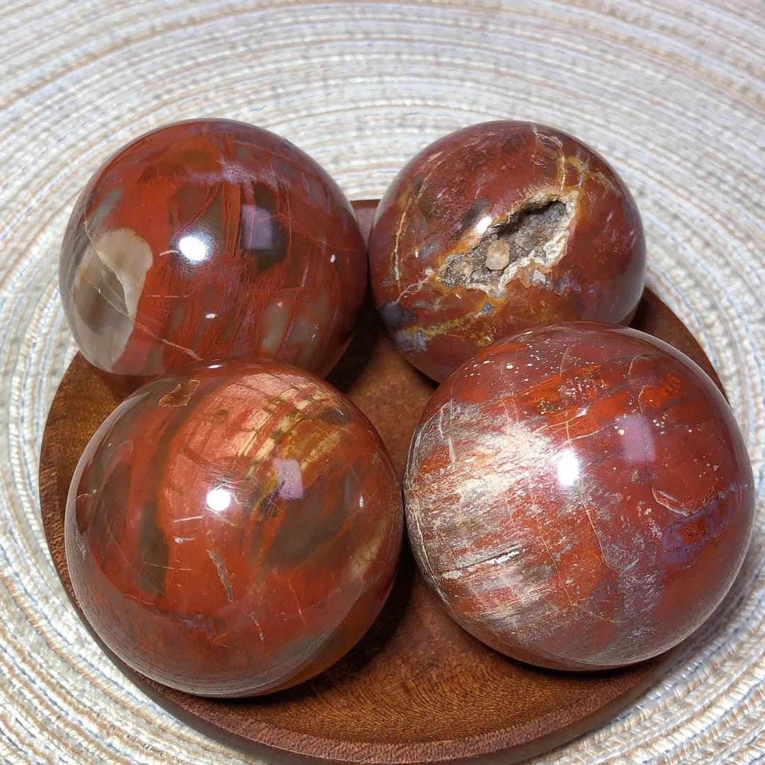 Petrified Wood Sphere