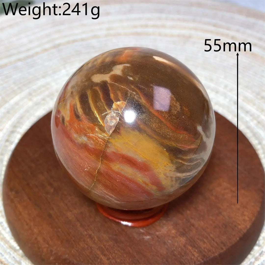 Petrified Wood Sphere