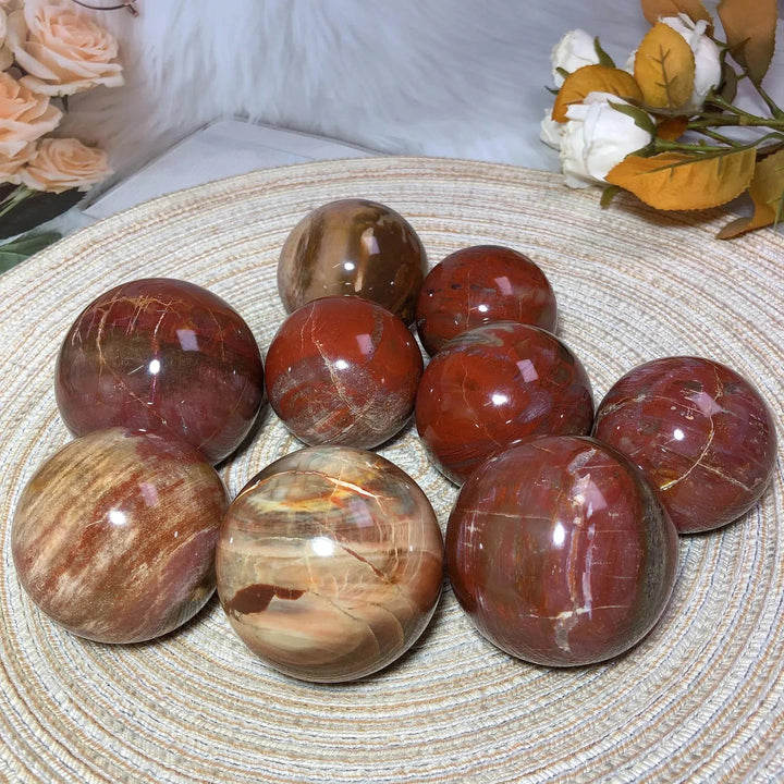 Petrified Wood Sphere