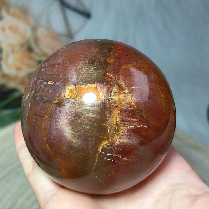 Petrified Wood Sphere