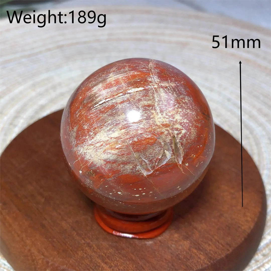 Petrified Wood Sphere