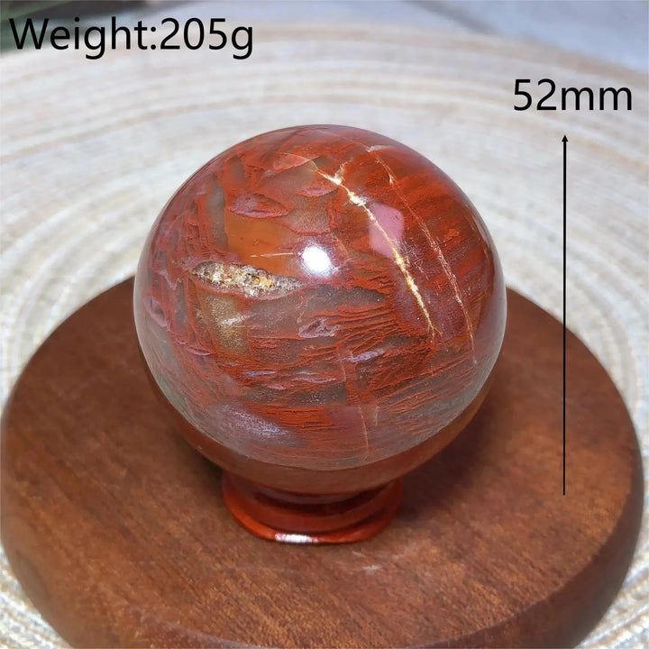 Petrified Wood Sphere