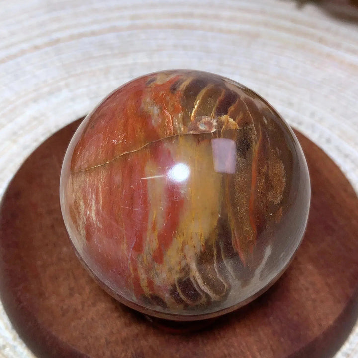 Petrified Wood Sphere