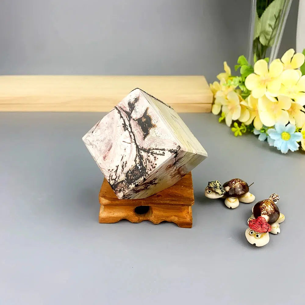 Picture Jasper Cube