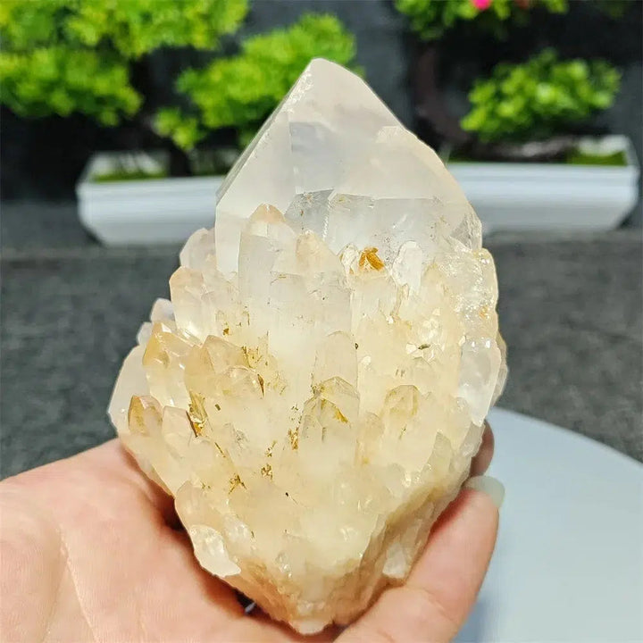 Pineapple Quartz Cluster