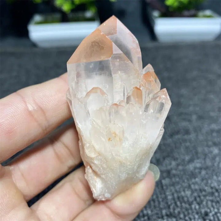 Pineapple Quartz Crystal Cluster