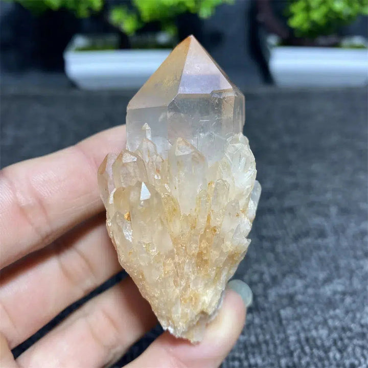 Pineapple Quartz Crystal Cluster