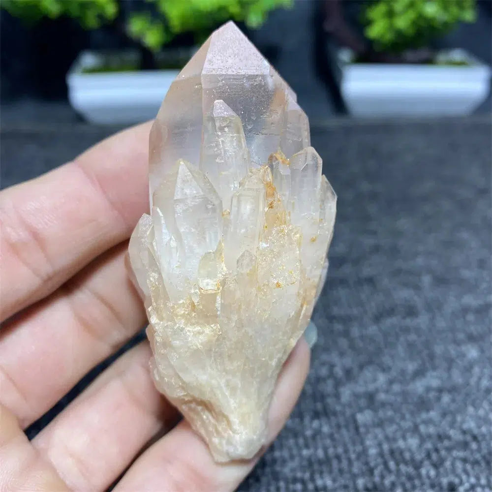 Pineapple Quartz Crystal Cluster