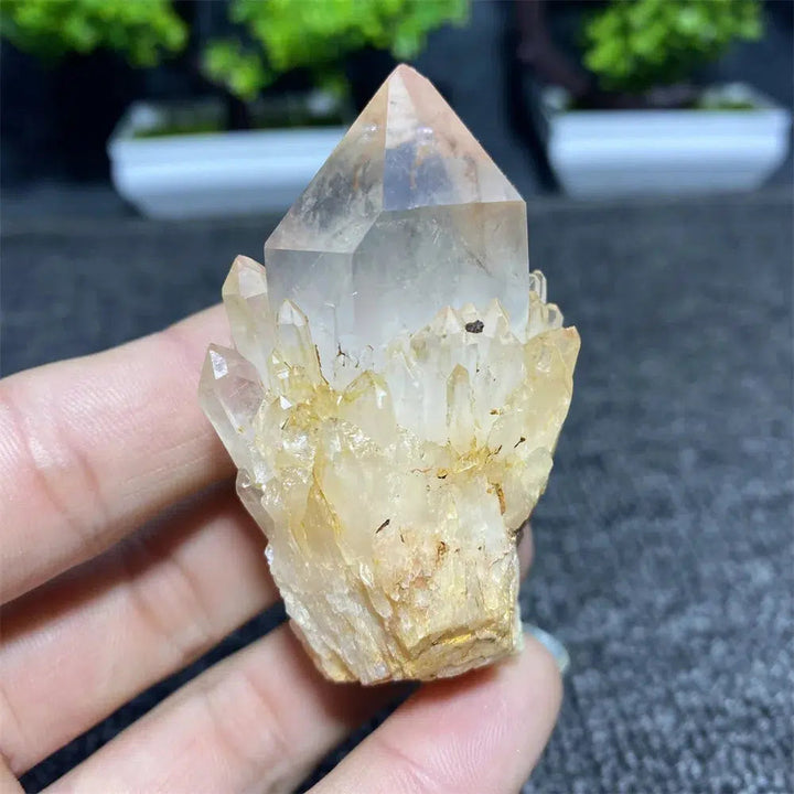 Pineapple Quartz Crystal Cluster