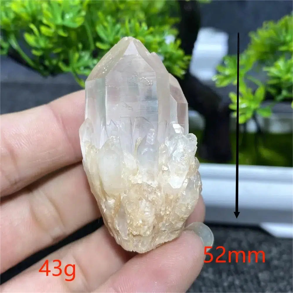 Pineapple Quartz Crystal Cluster