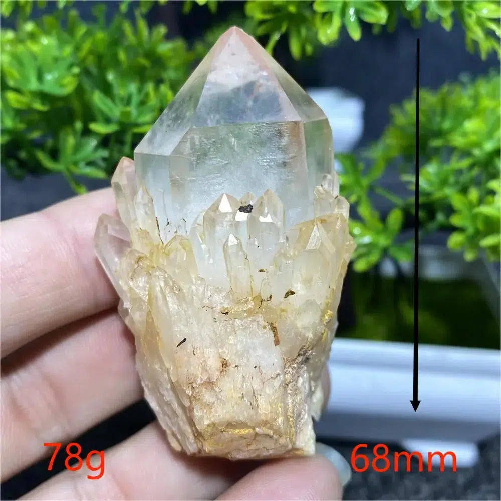 Pineapple Quartz Crystal Cluster