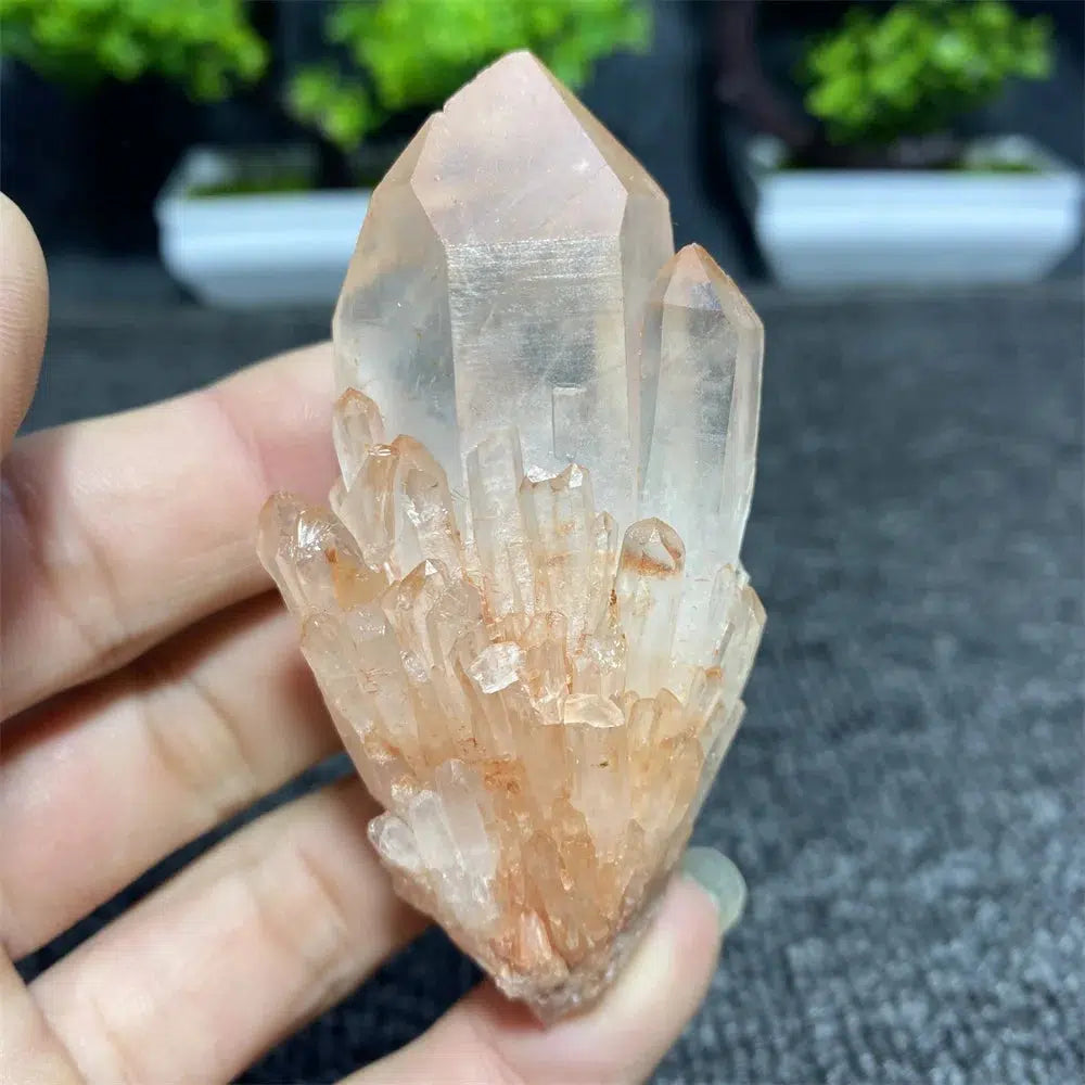 Pineapple Quartz Crystal Cluster