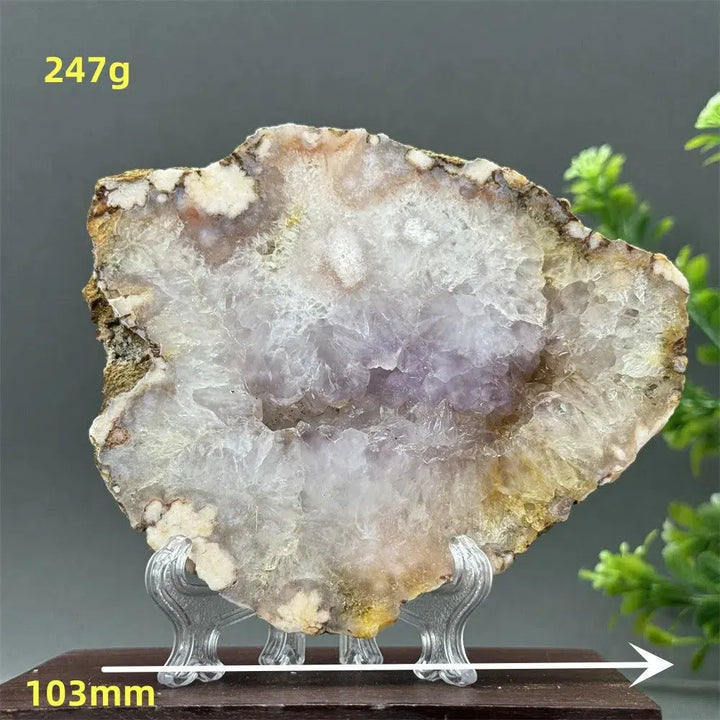 Pink Amethyst Flower Agate Geode Slice