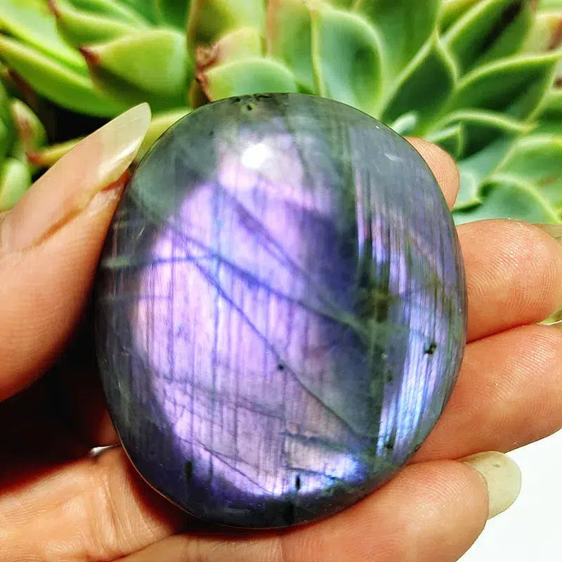 Purple Labrador Palm Stone