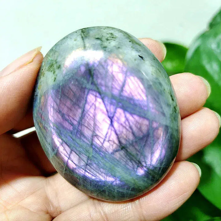 Purple Labrador Palm Stone