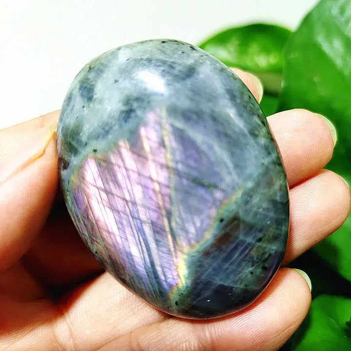 Purple Labrador Palm Stone