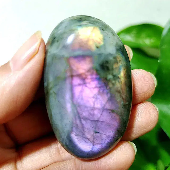 Purple Labrador Palm Stone