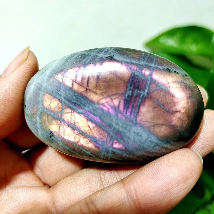 Purple Labrador Palm Stone