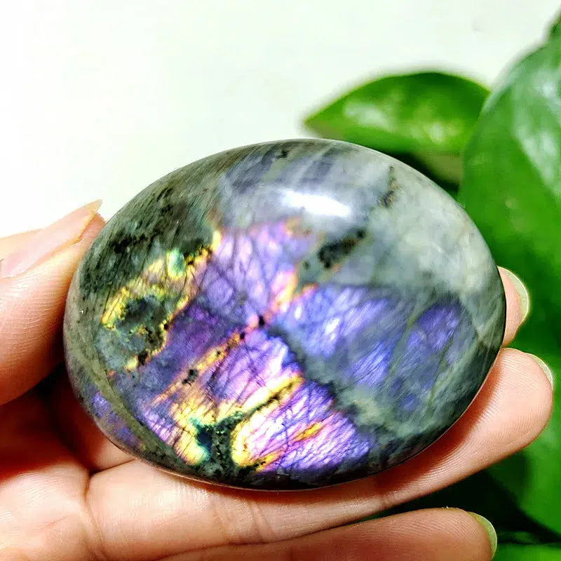 Purple Labrador Palm Stone