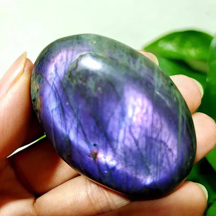 Purple Labrador Palm Stone