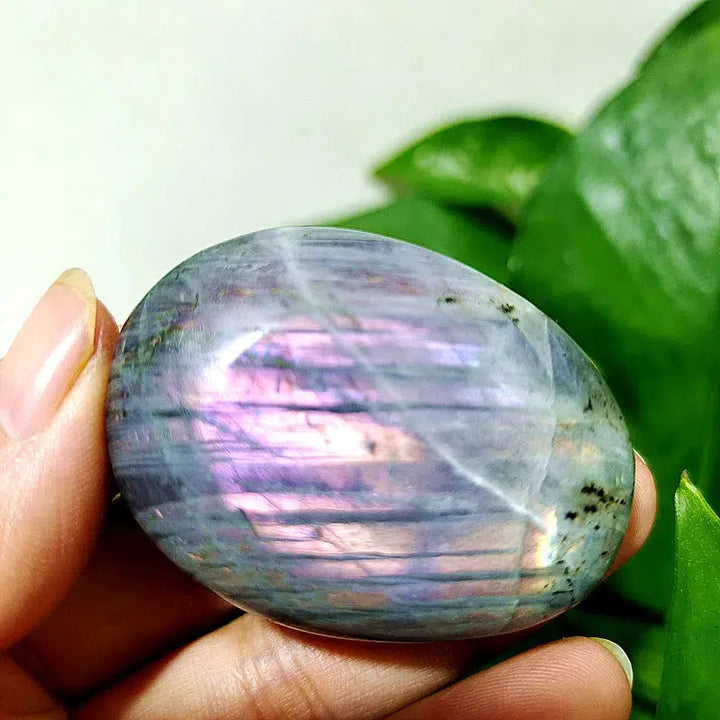 Purple Labrador Palm Stone