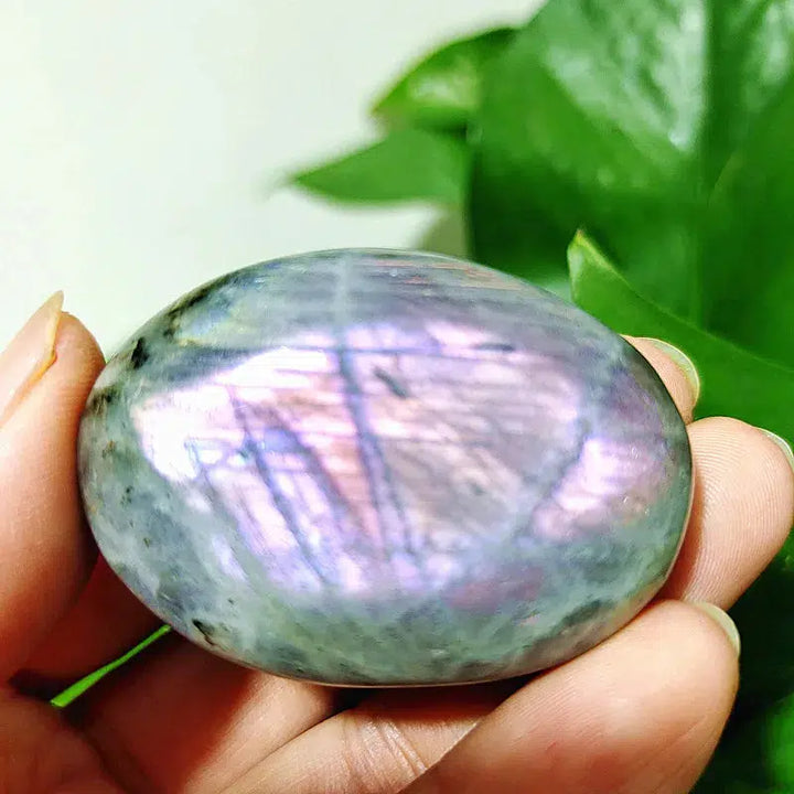 Purple Labrador Palm Stone