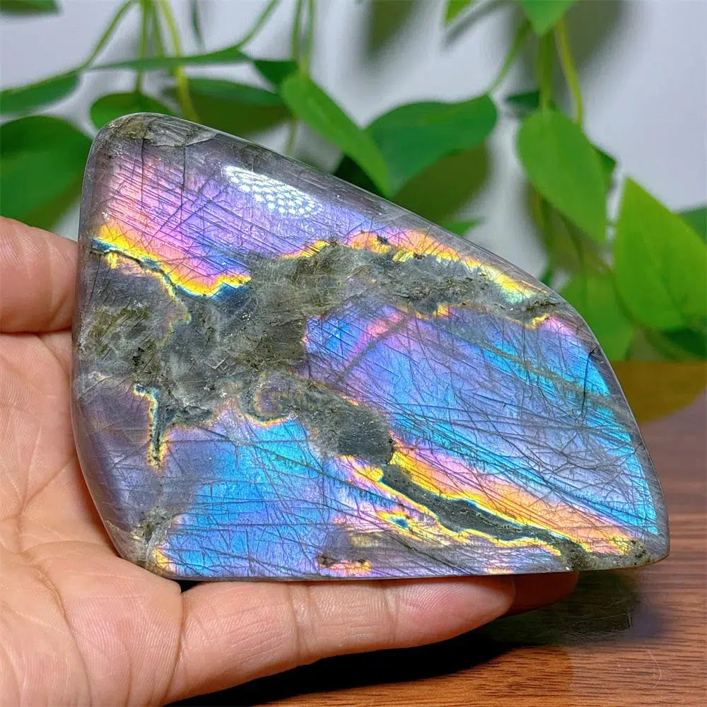 Purple Labradorite Freeform