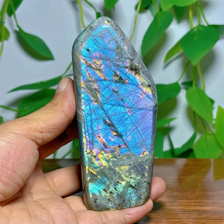 Purple Labradorite Freeform