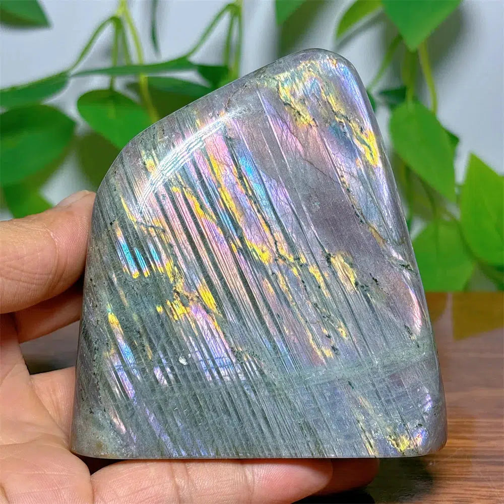 Purple Labradorite Freeform