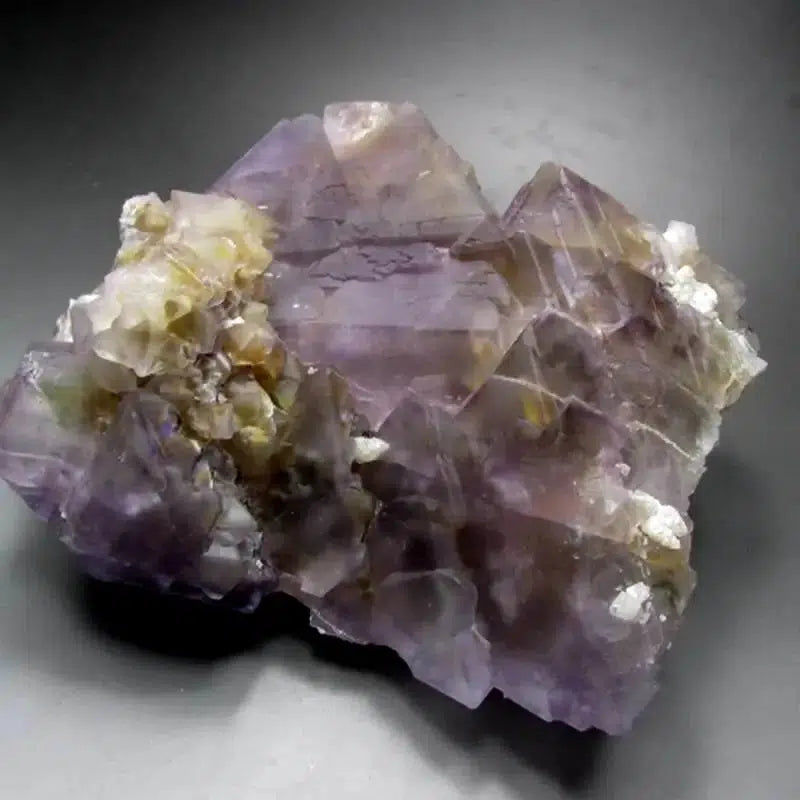 Purple-Yellow Fluorite Cluster w/ Phantom (Museum Quality)