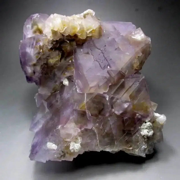 Purple-Yellow Fluorite Cluster w/ Phantom (Museum Quality)