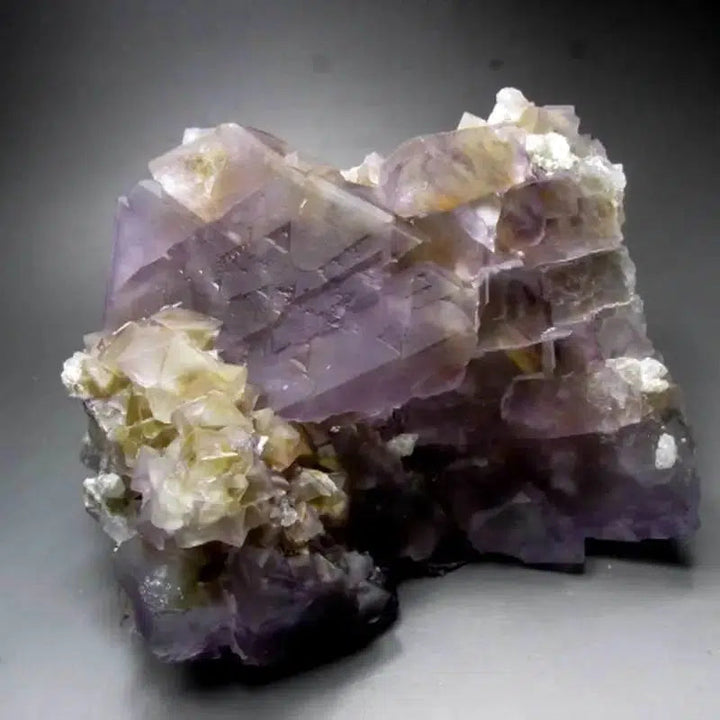 Purple-Yellow Fluorite Cluster w/ Phantom (Museum Quality)