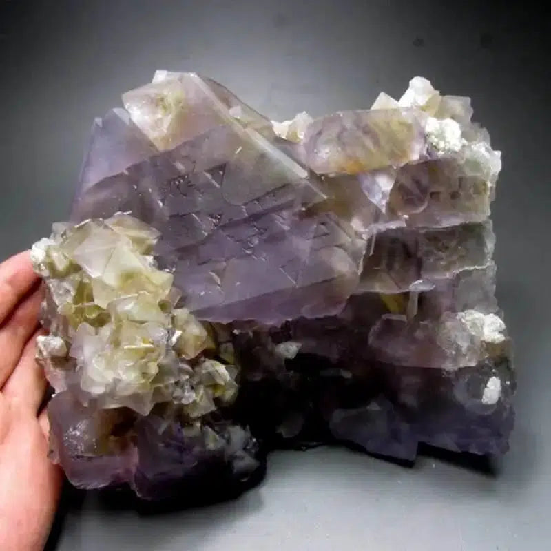 Purple-Yellow Fluorite Cluster w/ Phantom (Museum Quality)