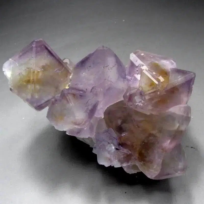 Purple-Yellow Fluorite Cluster with Phantom