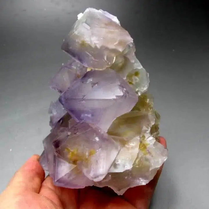 Purple-Yellow Fluorite Cluster with Phantom