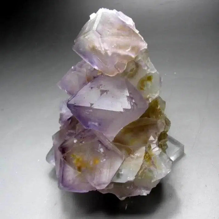 Purple-Yellow Fluorite Cluster with Phantom