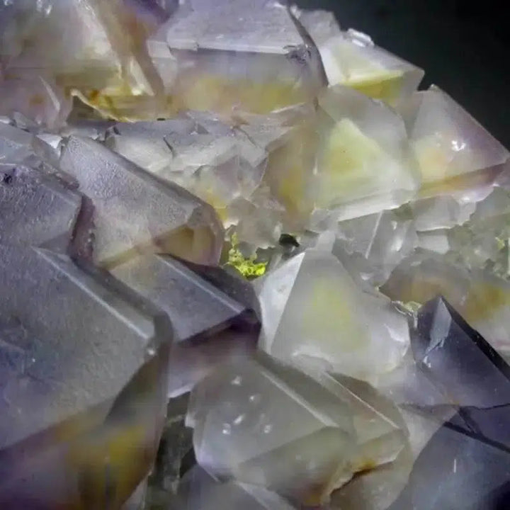 Purple-Yellow Fluorite Cluster with Phantoms