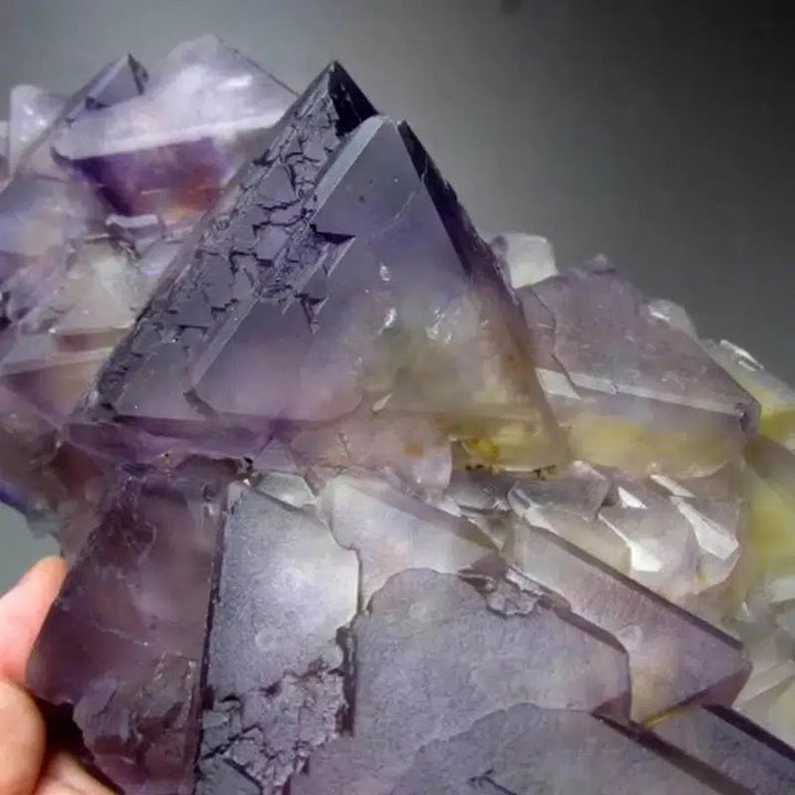 Purple-Yellow Fluorite Cluster with Phantoms