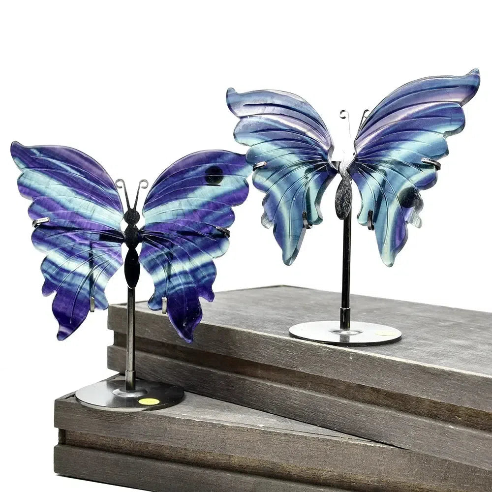 Rainbow Fluorite Crystal Butterfly Wings